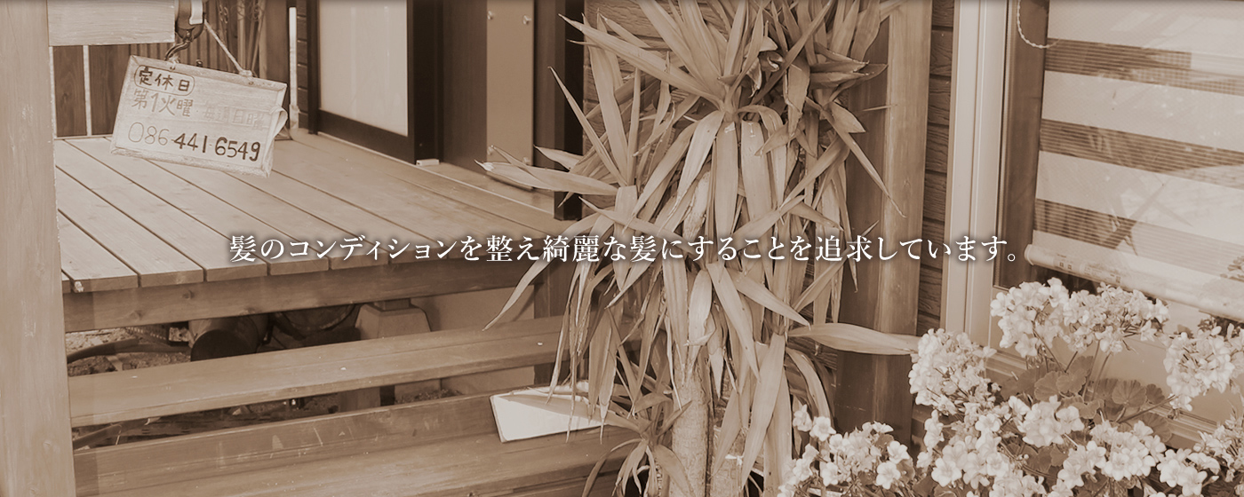 髪のコンディションを整え綺麗な髪にすることを追求しています。